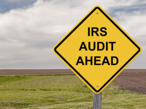 Will Your Small Business Be Audited?