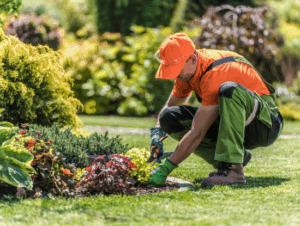 Hiring Help at Home? Key Tax Rules to Know